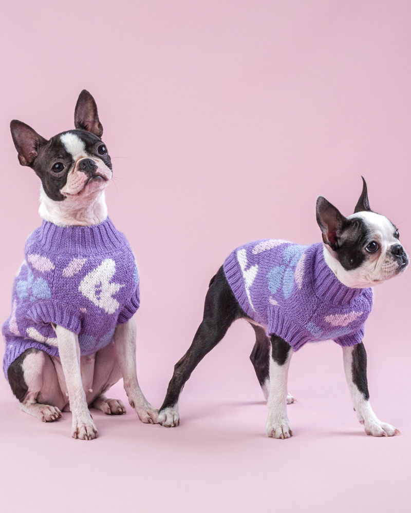 Floral Dog Sweater (FINAL SALE) Wear HOT DOGZ   
