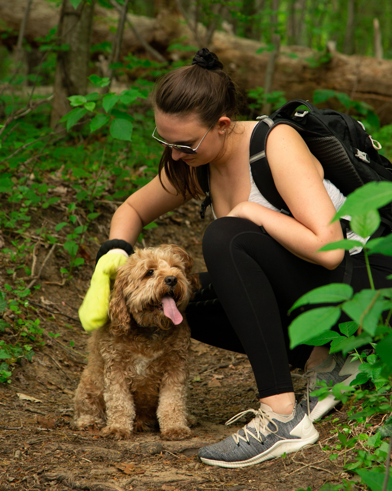 Microfiber Tick Mitt for Humans & Pets WALK TICK MITT   