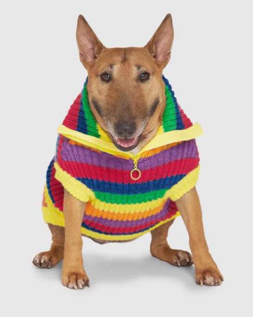 Over The Rainbow Dog Sweater (FINAL SALE) Wear CANADA POOCH   