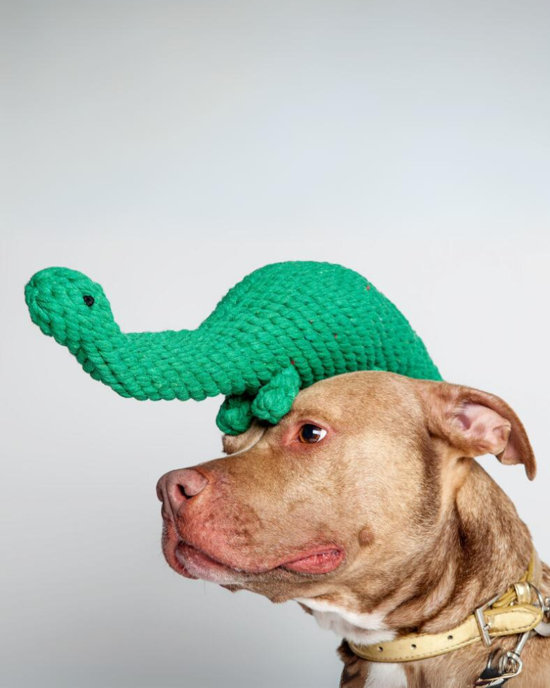 Brent the Brontosaurus Rope Dog Toy Play JAX & BONES   