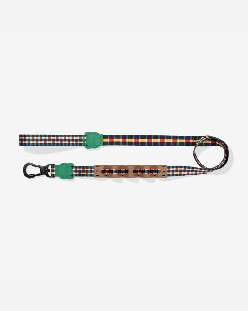 Ruff Leash for Dogs in Travis