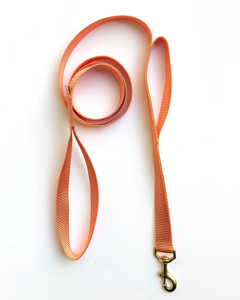 Double-Handle Leash / Traffic Leash (Made in the USA) WALK MAJOR DARLING Peach  