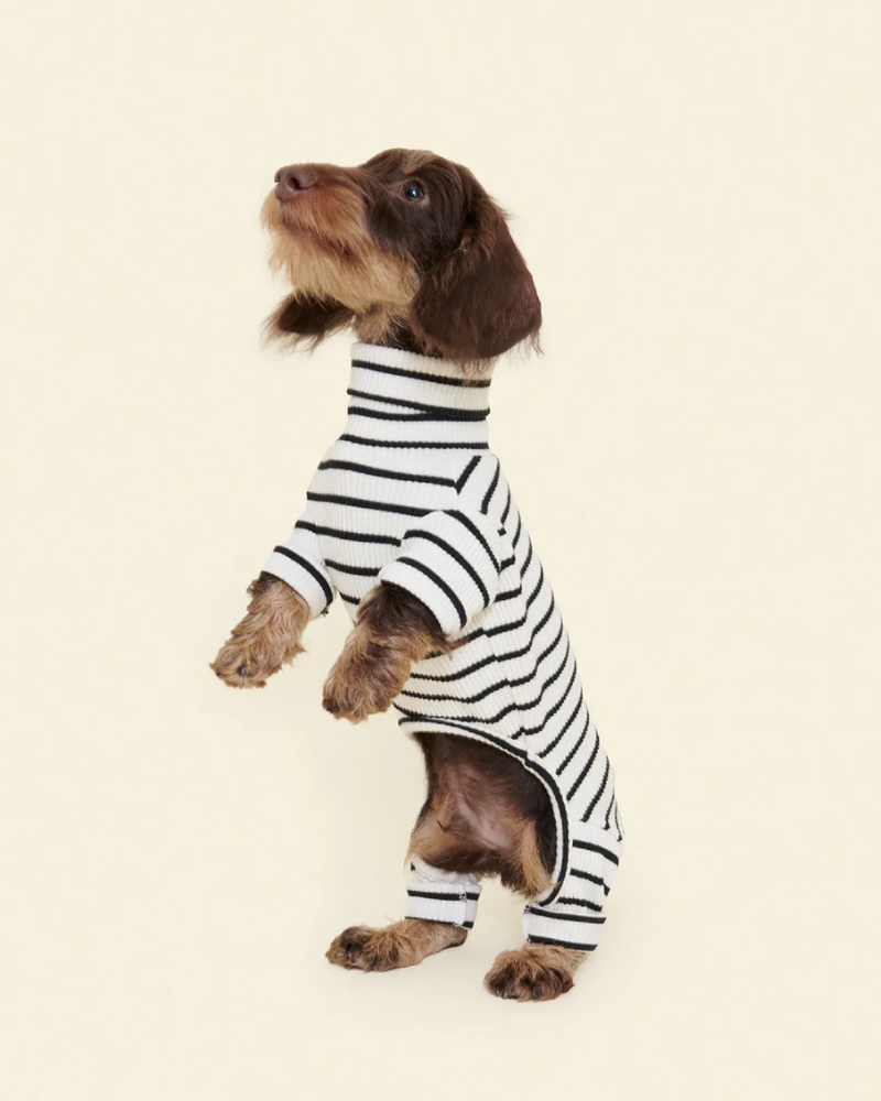 World's Your Oyster Dog Onesie Wear LITTLE BEAST