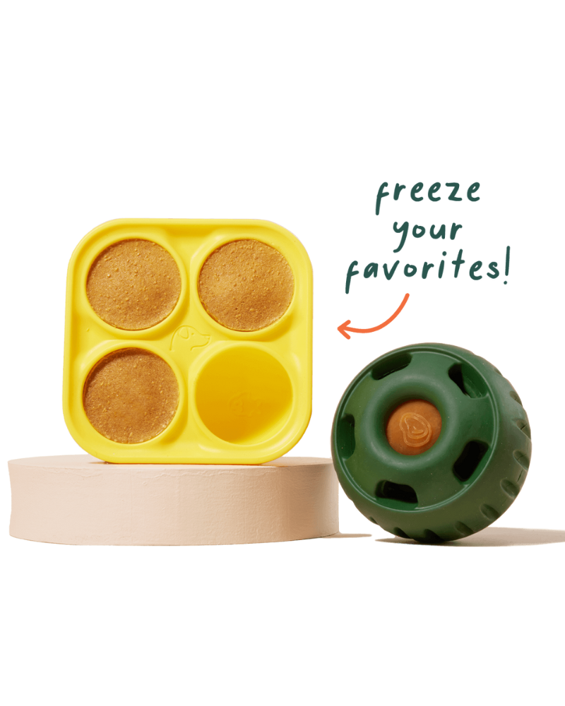 The Pupsicle Silicone Treat Tray Eat WOOF   