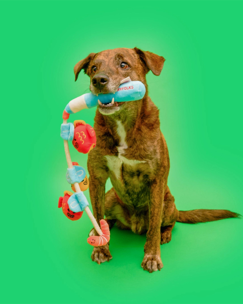 Fishing Nosework & Tug Dog Toy PLAY THE FURRY FOLKS