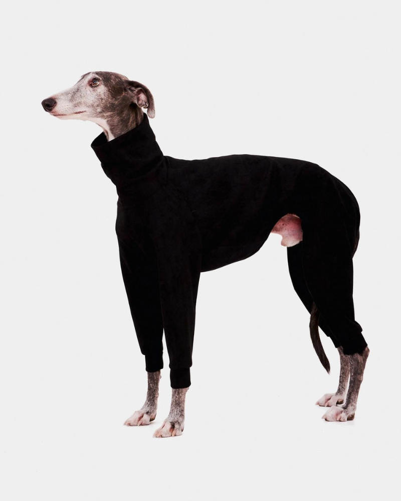 Dog Onesie in Black Wear FORGALGO   