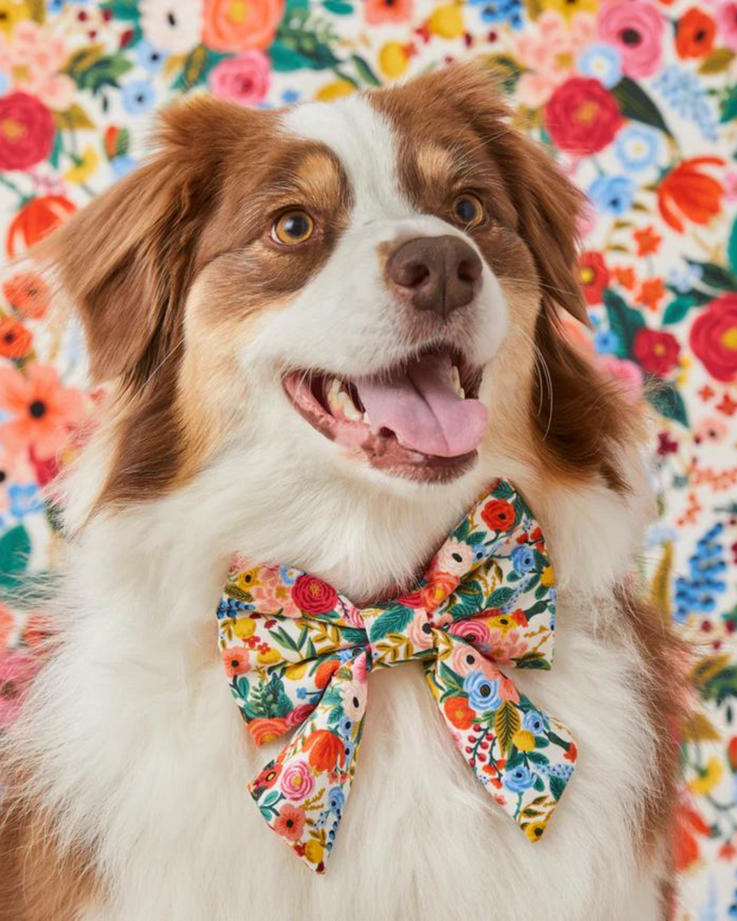 Rifle Paper Co. x TFD Garden Party Spring Lady Dog Bow (Made in the USA) Wear THE FOGGY DOG   