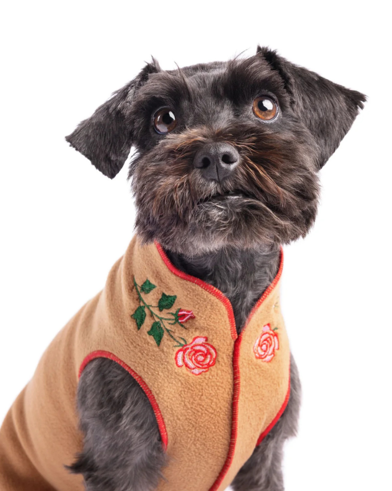 Limited Edition Embroidered Stretch Dog Fleece (Made in the USA) Wear GOLD PAW