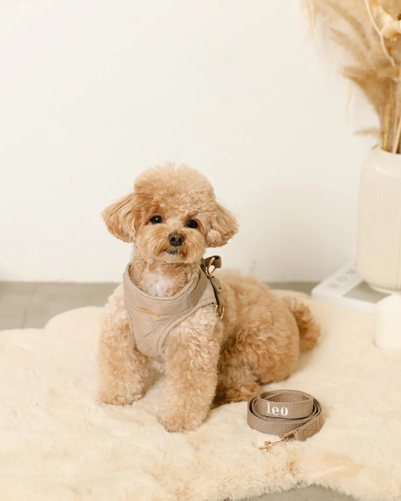 Quilted Puffer Dog Harness & Leash Set (FINAL SALE) WALK MONCHERI   