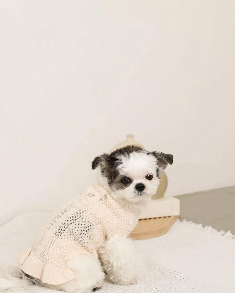 Floral Knit Dog Dress Wear MONCHERI   