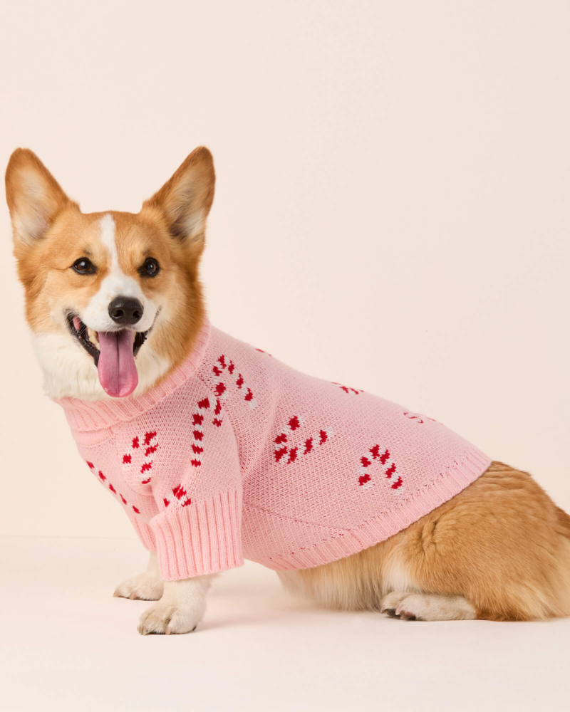 Pink Candy Cane Dog Sweater Wear THE FOGGY DOG