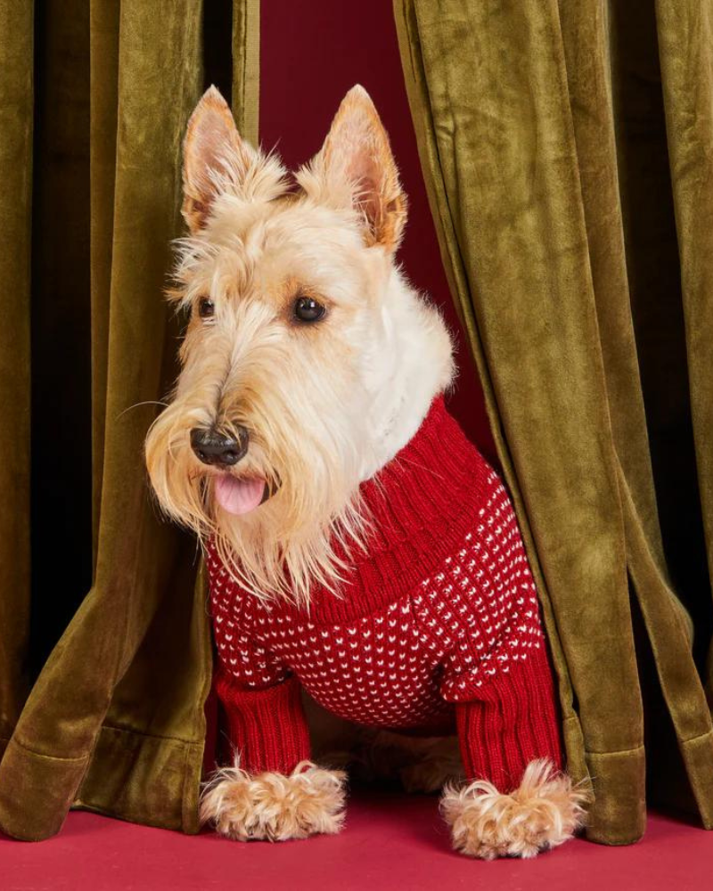 Heart Stitch Turtleneck Dog Sweater Wear THE FOGGY DOG   
