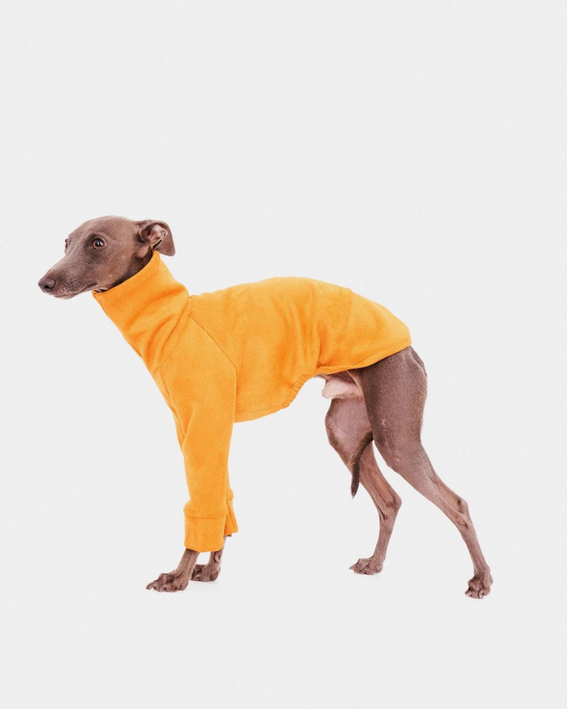 Long Sleeve Dog Turtleneck in Yellow (FINAL SALE) Wear FORGALGO   