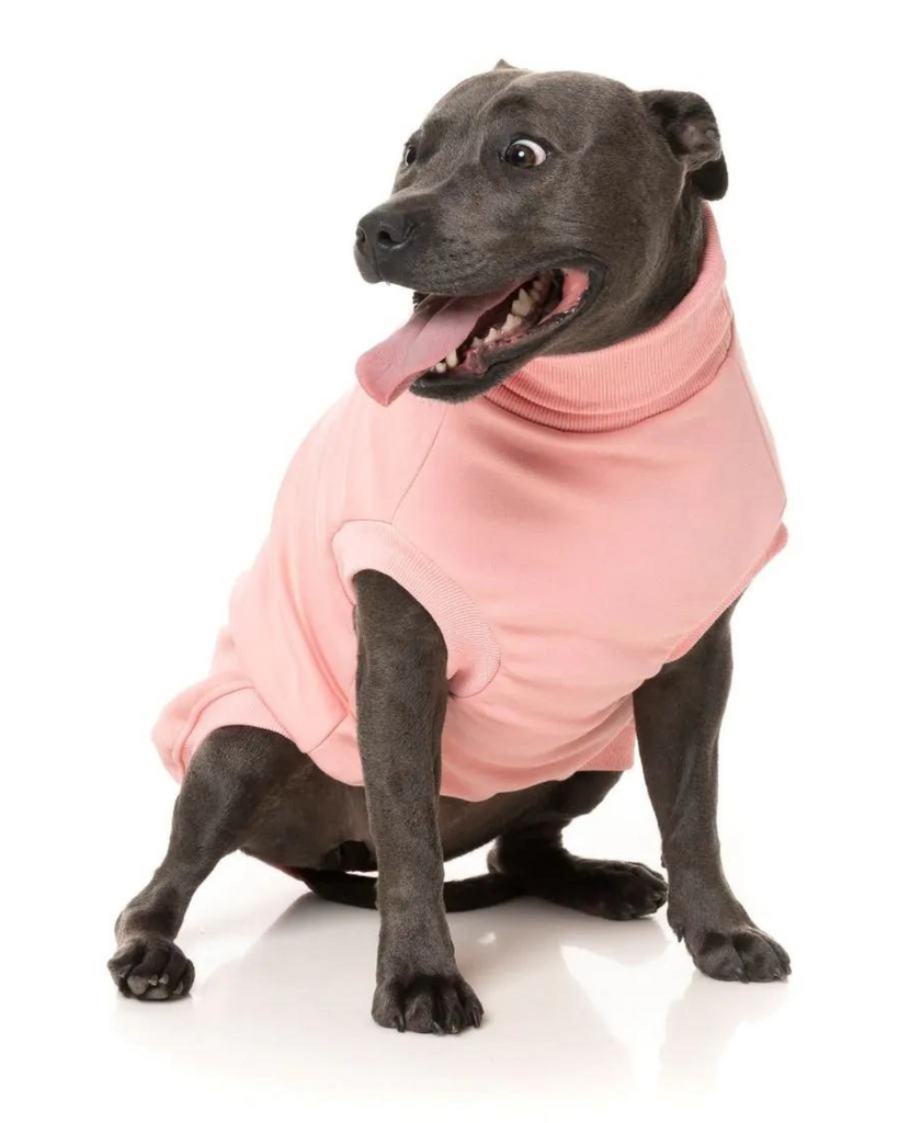 Stevie Dog Turtleneck in Pink (FINAL SALE) Wear FUZZYARD   
