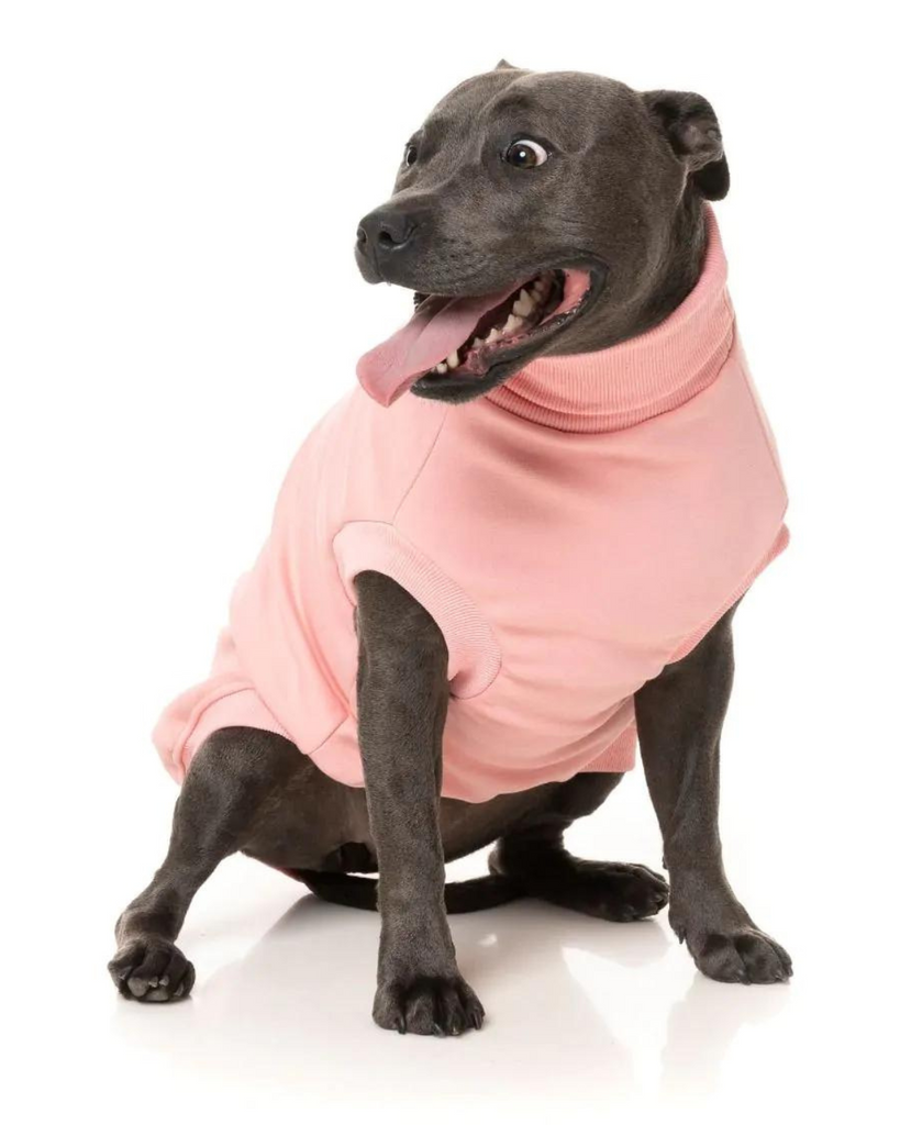 Stevie Dog Turtleneck in Pink Wear FUZZYARD   