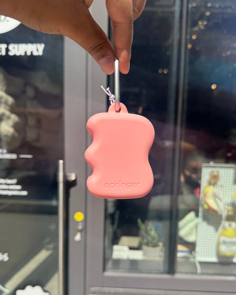 Silicone Dog Treat Dispenser WALK SPRINGER Guava