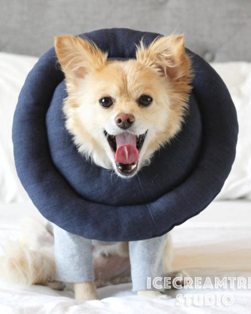 Hypoallergenic Soft Comfy Pet Cone (Made in the USA) HOME ICECREAMTREE STUDIO   