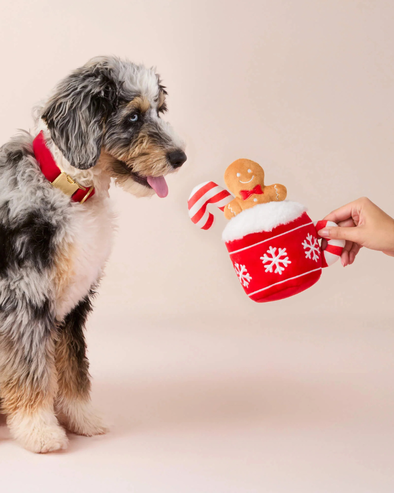 Holiday Hot Cocoa Interactive Snuffle Dog Toy PLAY THE FOGGY DOG