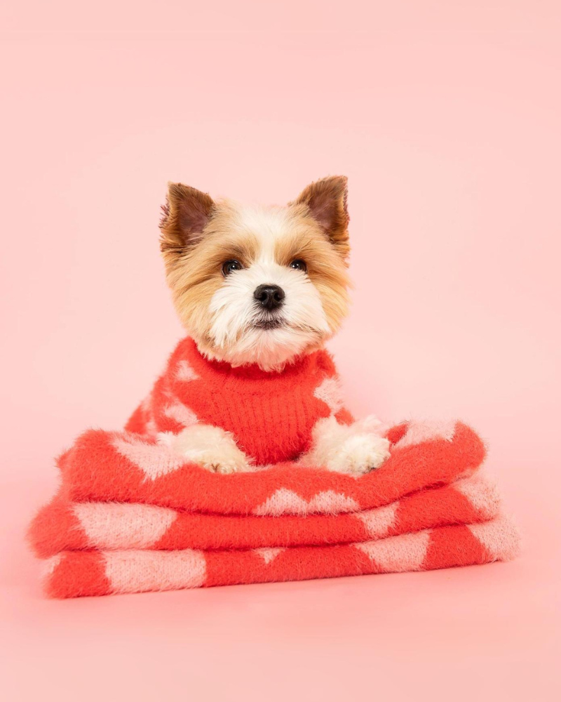 Hug Me Heart Dog Sweater (FINAL SALE) Wear THE FURRYFOLKS   