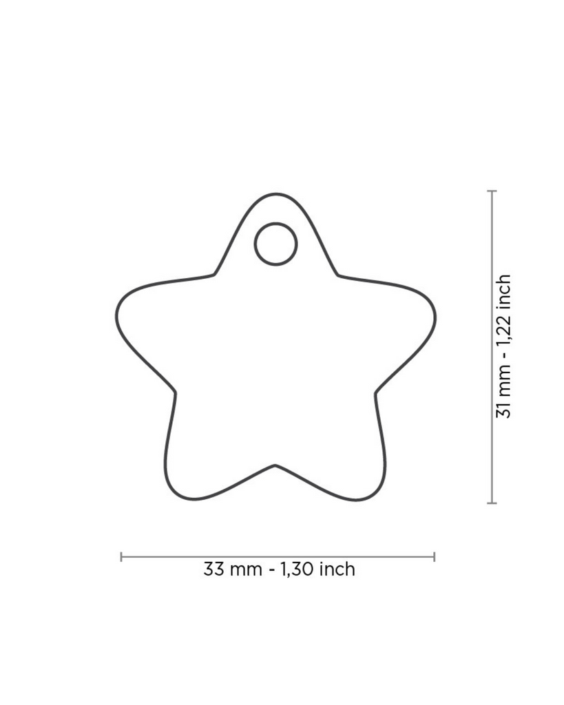 Bright Star Custom Pet ID Tag Wear MY FAMILY   