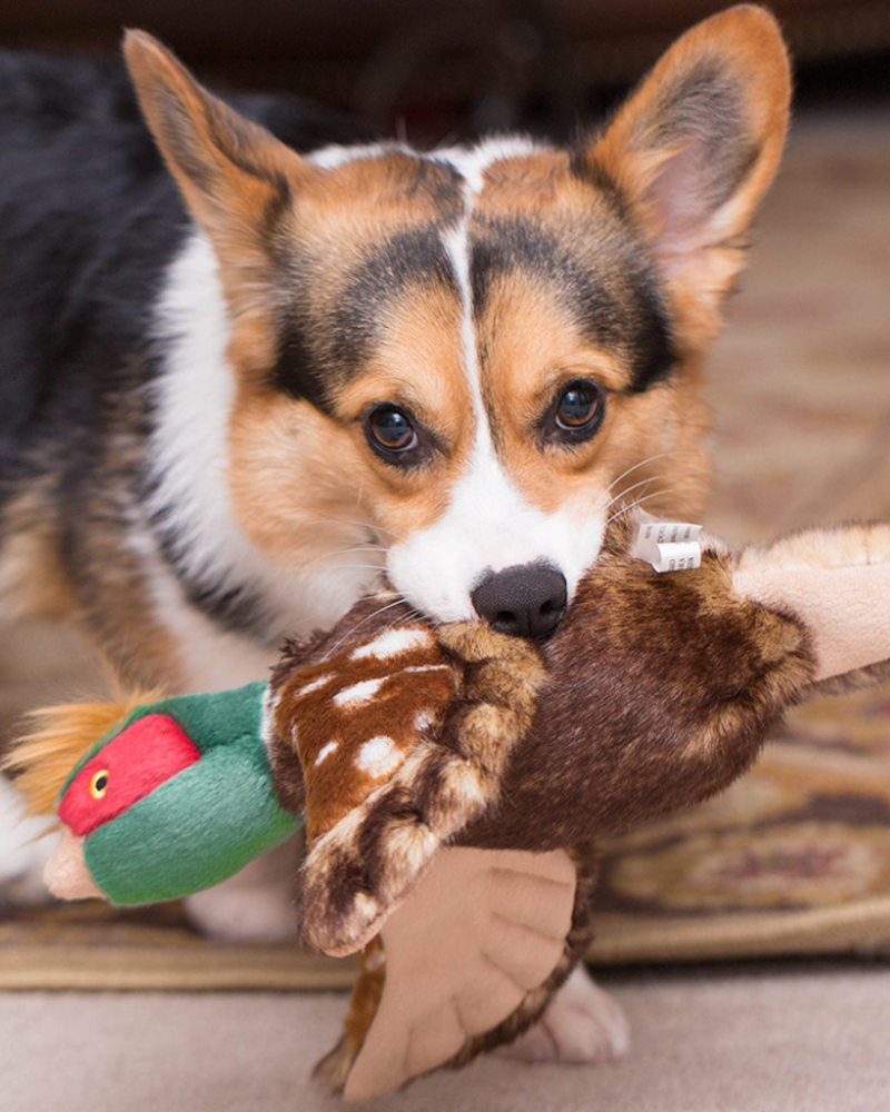 Ike Pheasant Squeaky Dog Plush Toy Play FLUFF & TUFF   