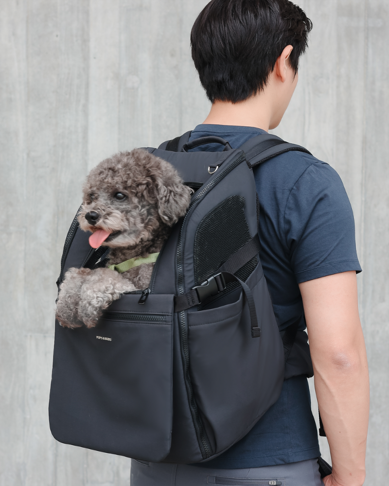 PUPS & BUBS | Travel Pet Carrier Backpack