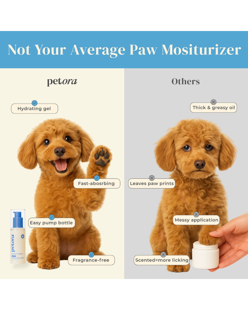 Pawfect Comfort Nose-to-Tail Soothing Jelly Serum for Dogs & Cats HOME PETORA