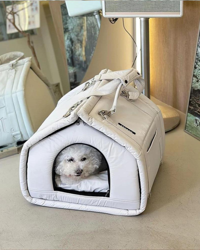 Pets at home dog bed sale online
