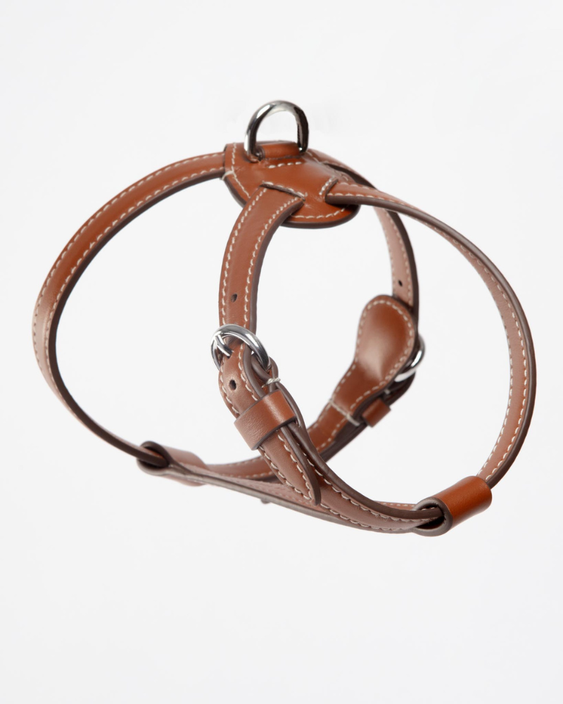 Nuvola Leather Dog Harness in Tobacco Brown (Made in Italy) Walk CARLOTTA PALERMO