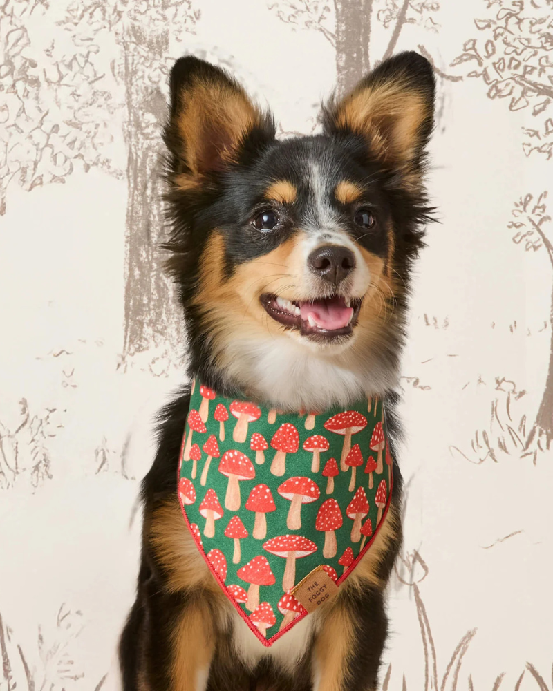 Mushroom Meadow Cotton Dog Bandana (Made in the USA) Wear THE FOGGY DOG