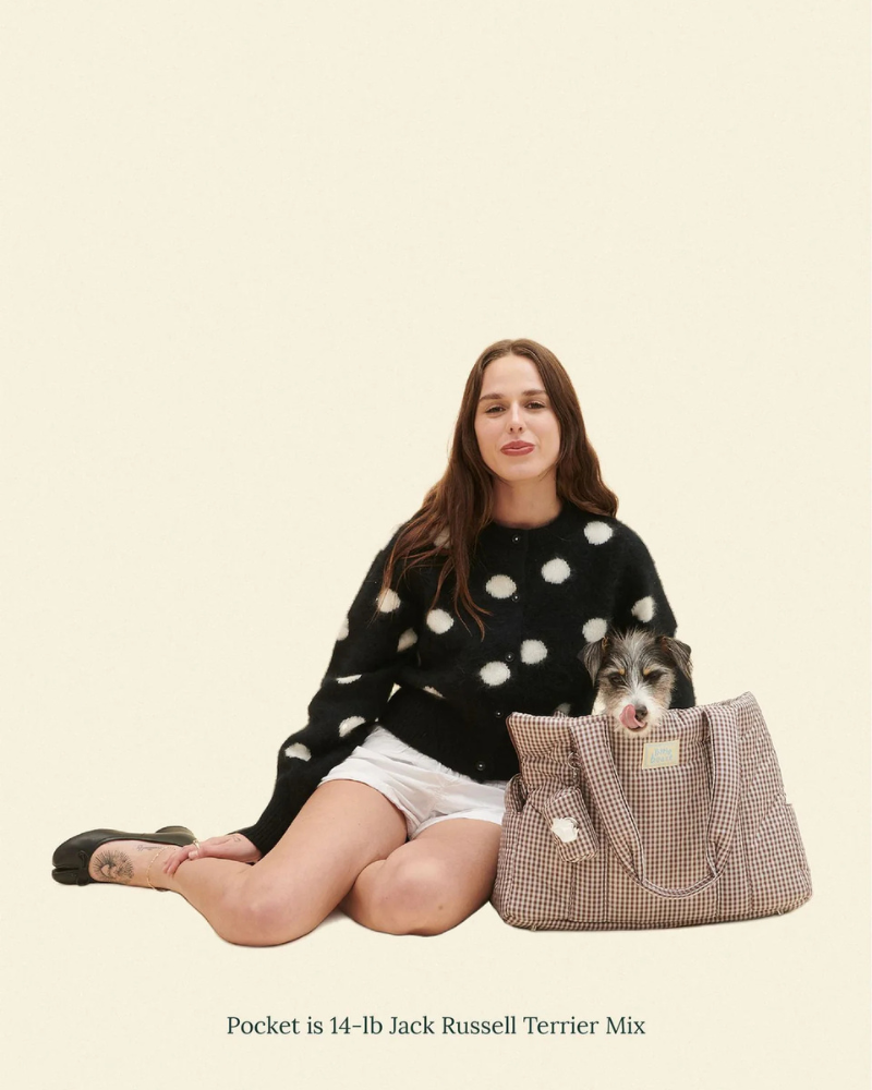 The Little Beast Dog Carrier in Coffee Cream Carry LITTLE BEAST