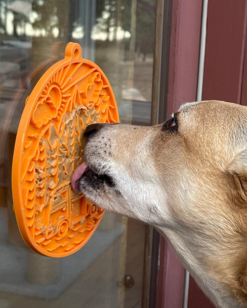 Camp Enrichment Lick Mat with Suction Cups (Made in the USA) Eat SODA PUP   
