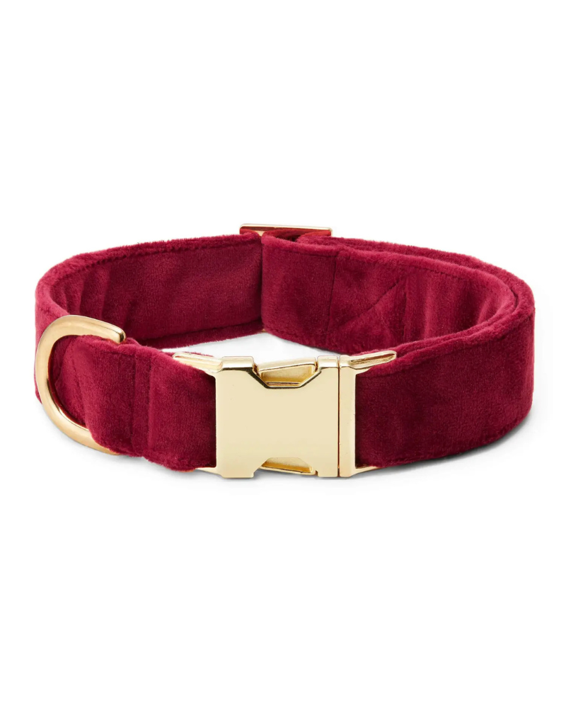 Burgundy Velvet Dog Collar WALK THE FOGGY DOG