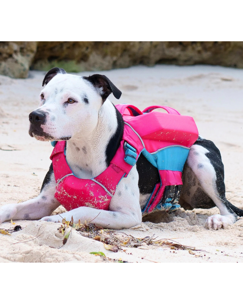 Dog Flotation Device NRS CFD Dog Life Jacket WhiteCap Water