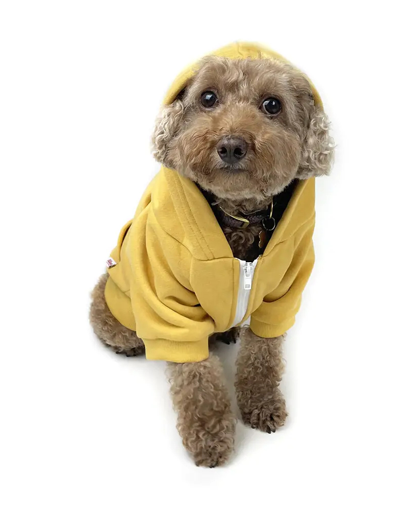 Zip Up Dog Hoodie in Mustard Yellow Wear MILLTOWN BRAND