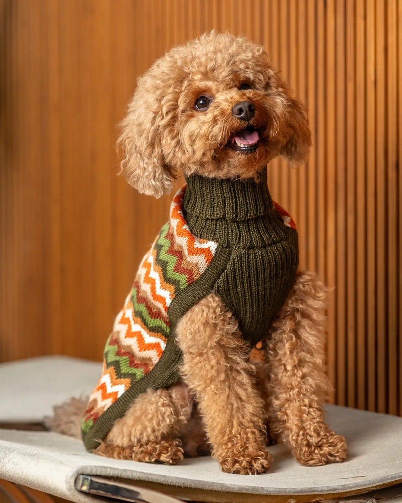 Forest Chevron Alpaca Knit Dog Sweater Wear ALQO WASI