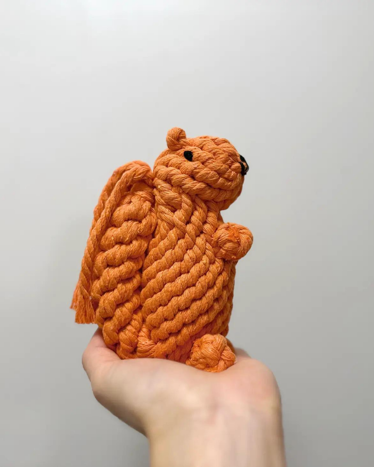 KNOTTY PAWS | Handmade Eco-Friendly Squirrel Rope Dog Toy | DOG & CO.