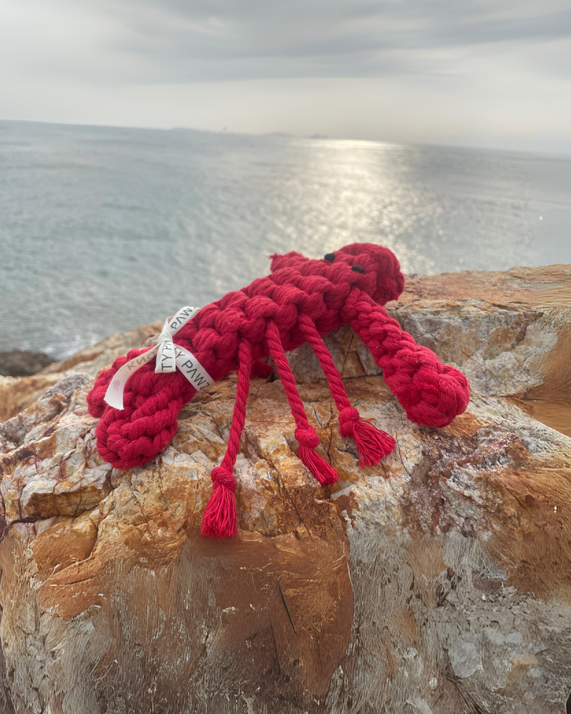 Lobster Sustainable Handmade Nautical Dog Rope Toy PLAY KNOTTY PAWZ