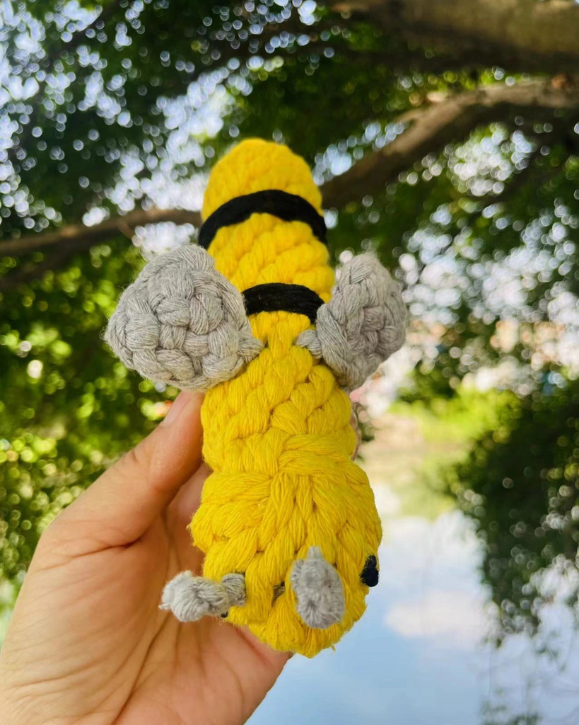Pet Bee Rope KNOTTY PAWZ | Handmade Bee Sustainable Dog Rope Toy | DOG & CO.
