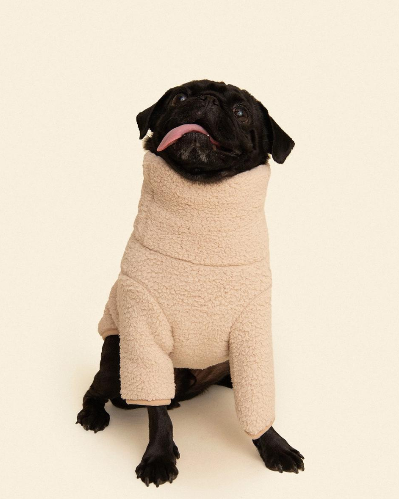 The Pablo Fleece Dog Sweatshirt Wear LITTLE BEAST   