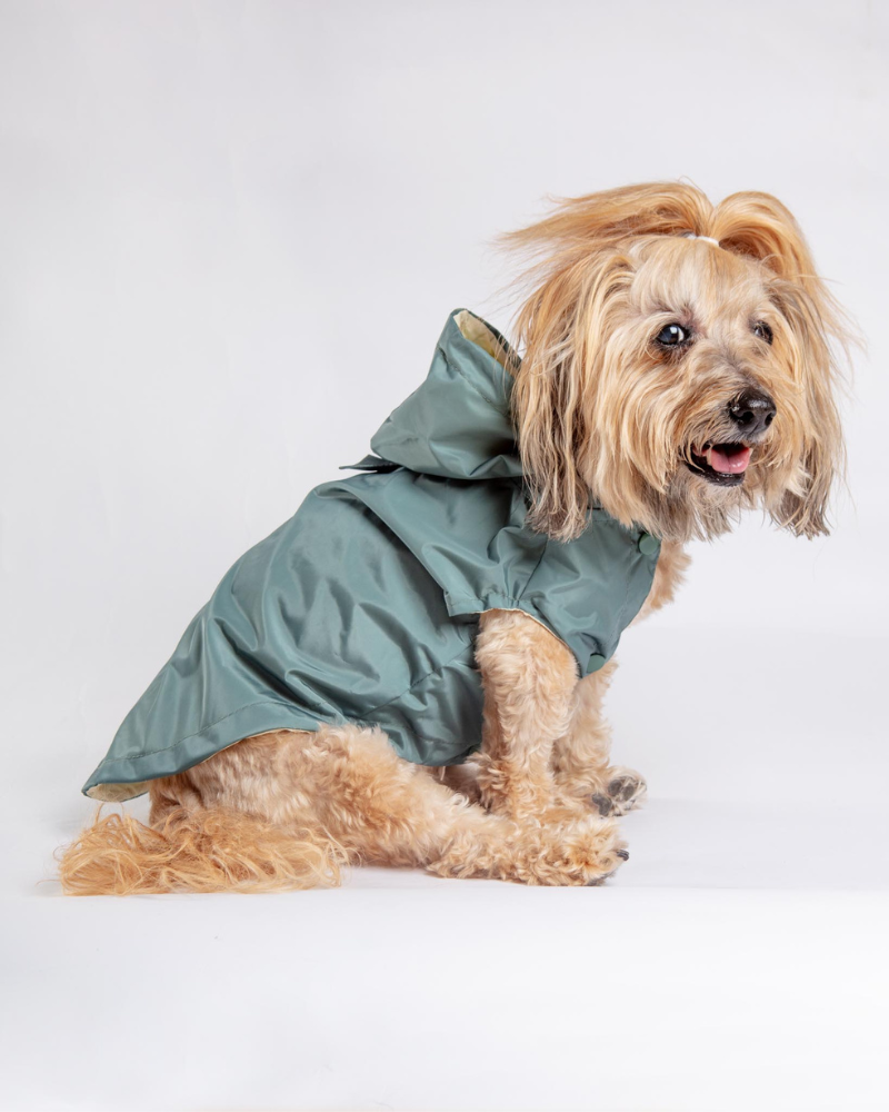 Life Dog Raincoat Wear FUZZYARD   