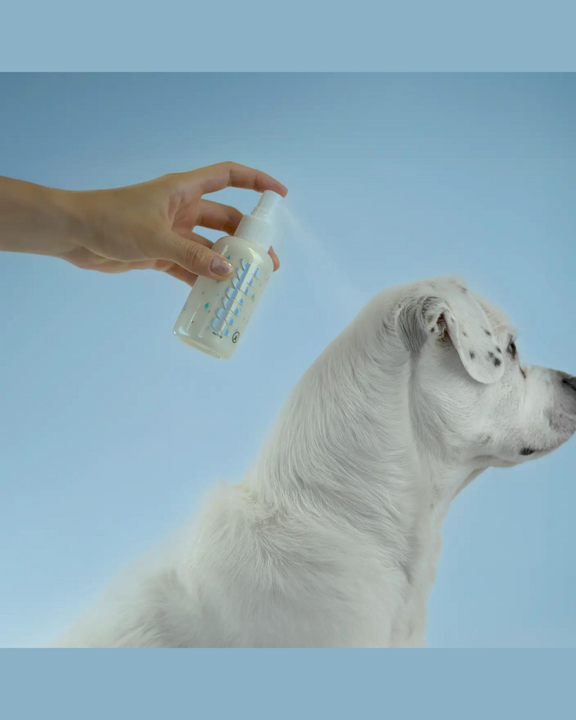 No Rinse Dry Shampoo Mists for Pets in Fresh Strawberry with Eco-Friendly Glitter (Made in the USA) (FINAL SALE) HOME MUTT FRESH DOG CARE   