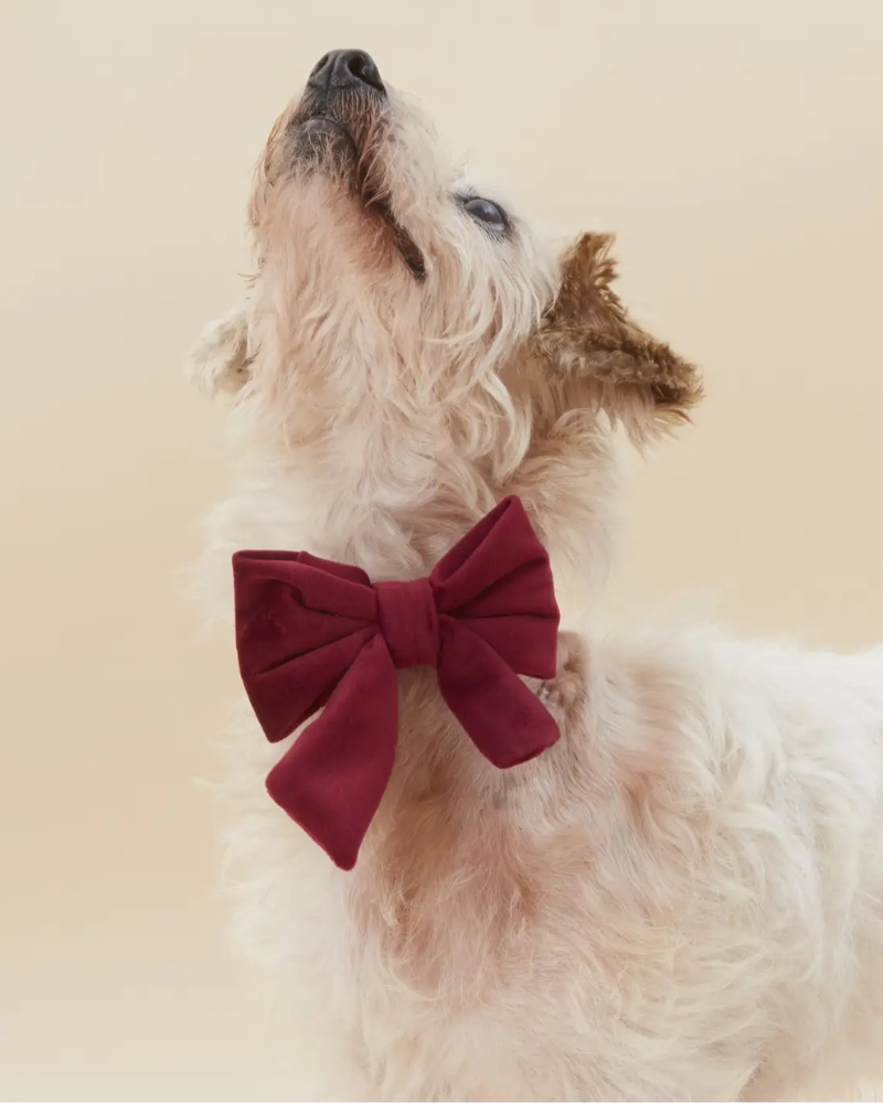 Burgundy Velvet Sailor Dog Bow Tie Wear THE FOGGY DOG