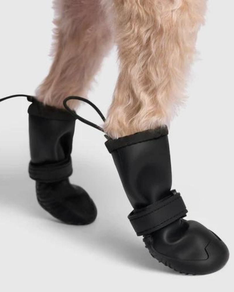 Waterproof Rain Boots in Black Wear CANADA POOCH   