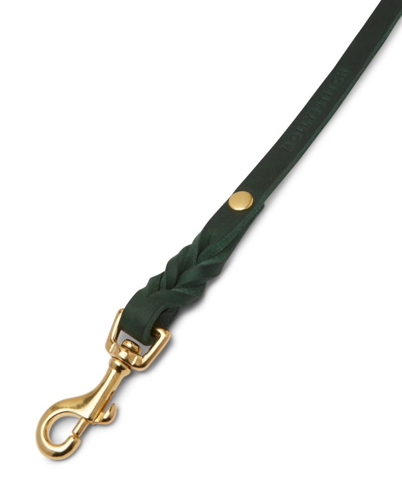 Butter Leather Dog Collar in Forest Green (Made in Austria) WALK MOLLY & STITCH