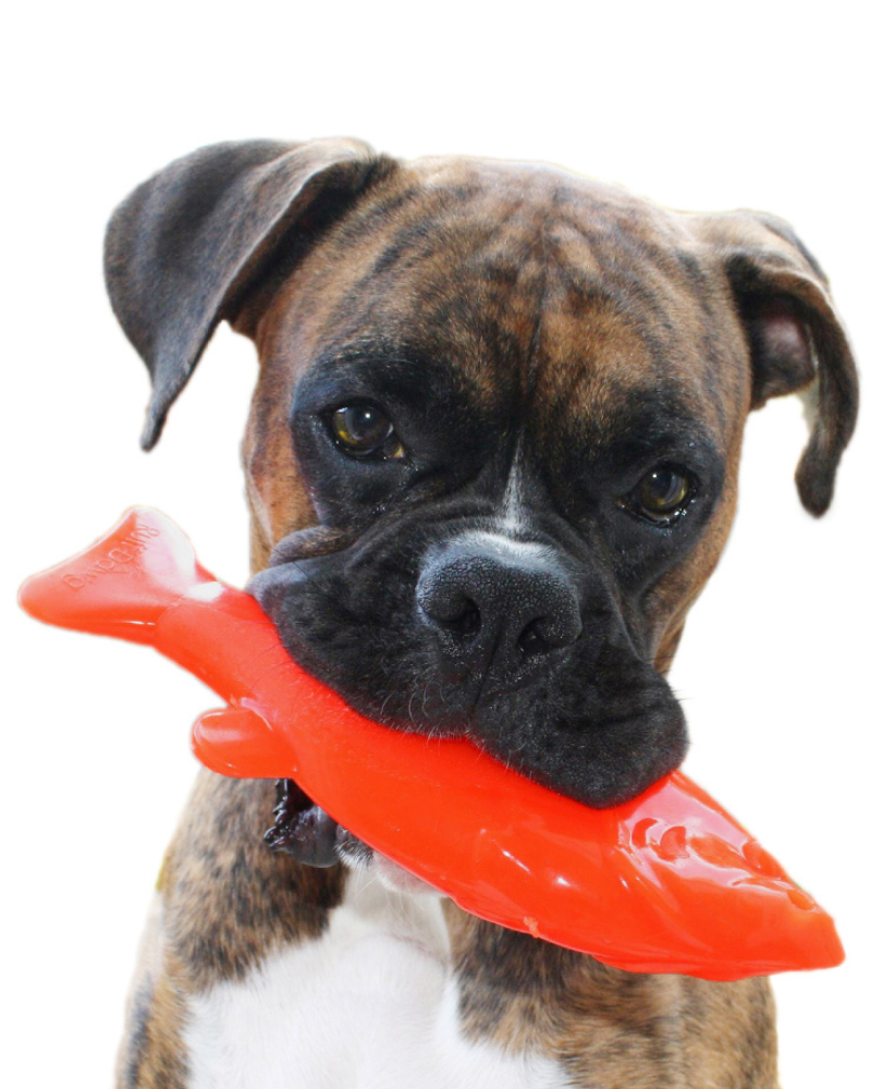 Rubber Fish Floating Dog Toy (Made in the USA) (FINAL SALE) Play RUFF DAWG   