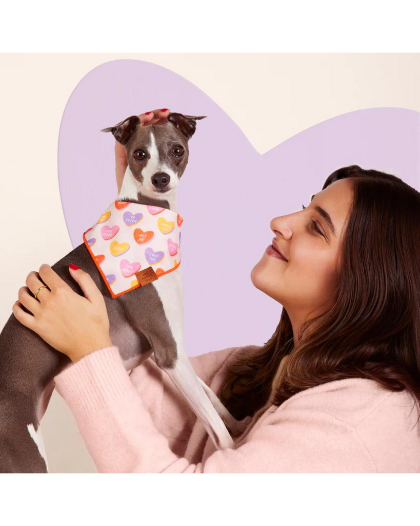 Candy Hearts Dog Bandana (Made in the USA) (FINAL SALE) Wear THE FOGGY DOG   