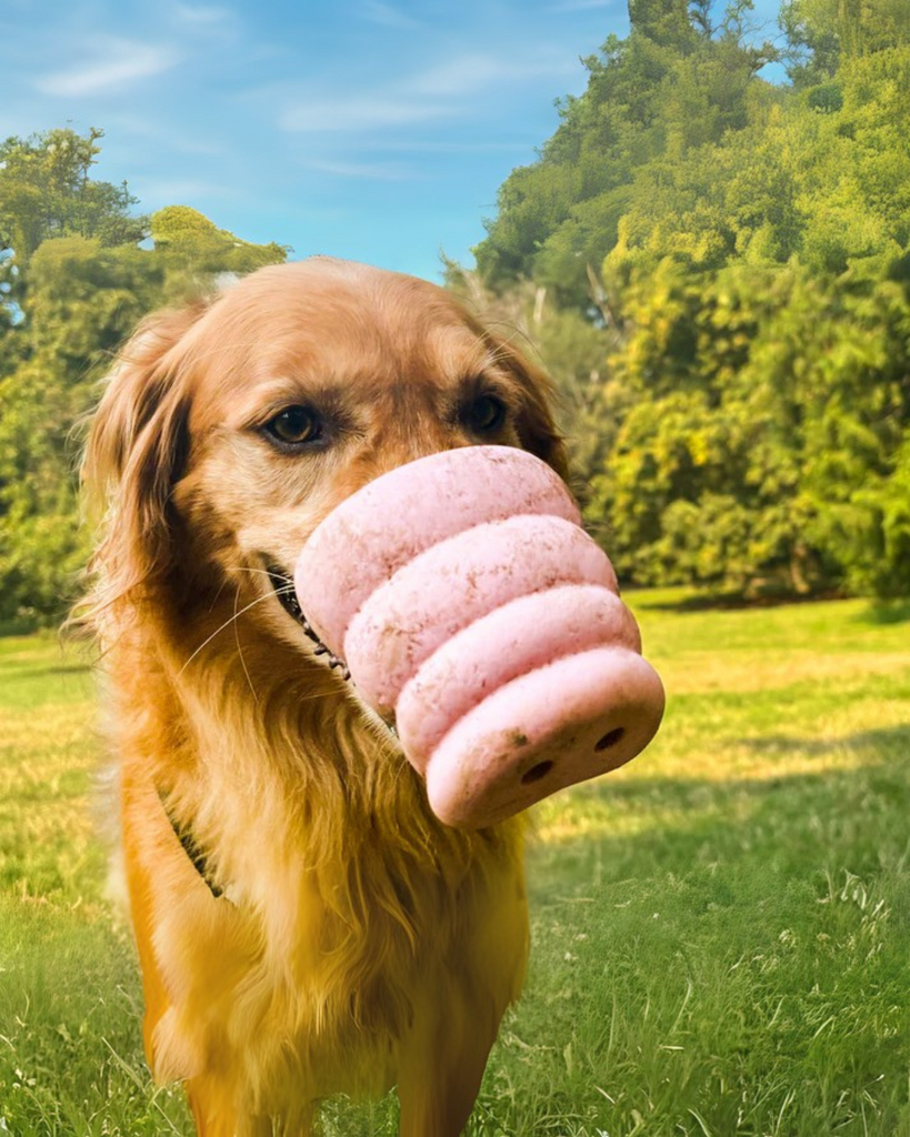 The Oinker Treat Puzzle Dog Toy PLAY SNOGGYDOGS