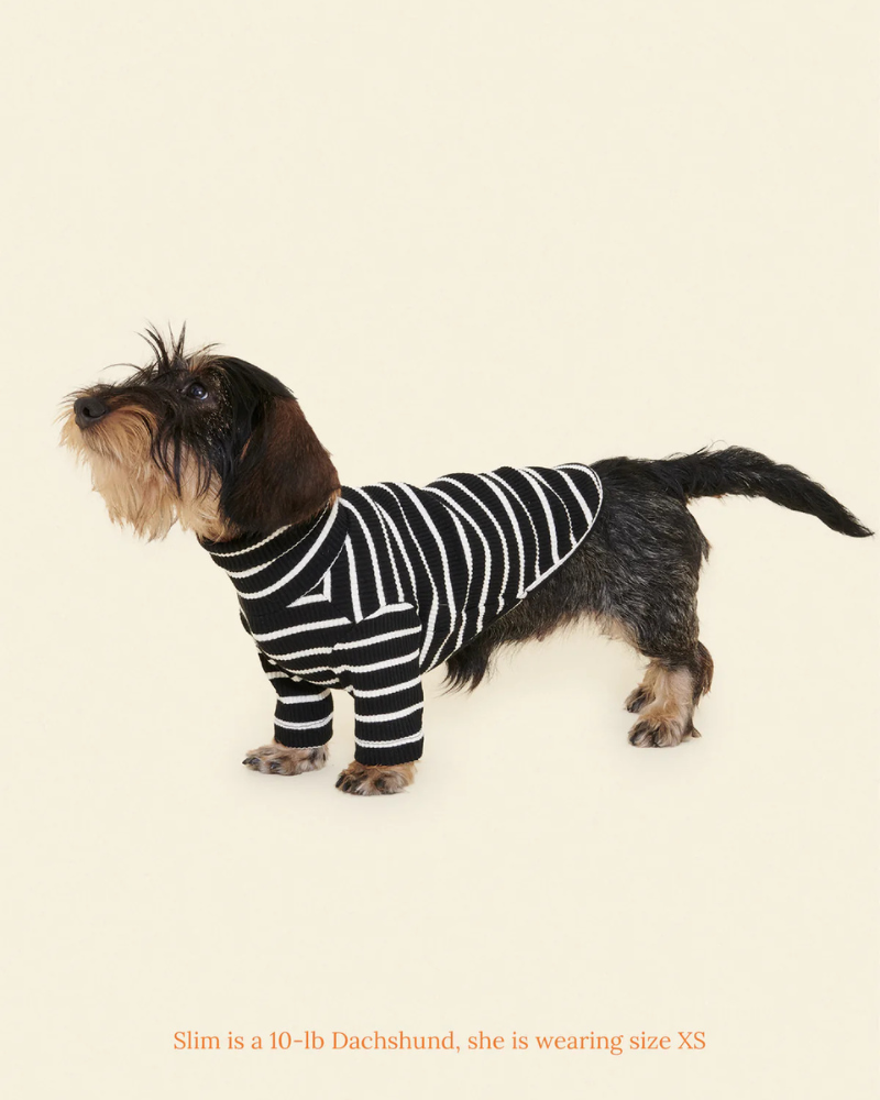 Cafe in Paris Dog Shirt Wear LITTLE BEAST