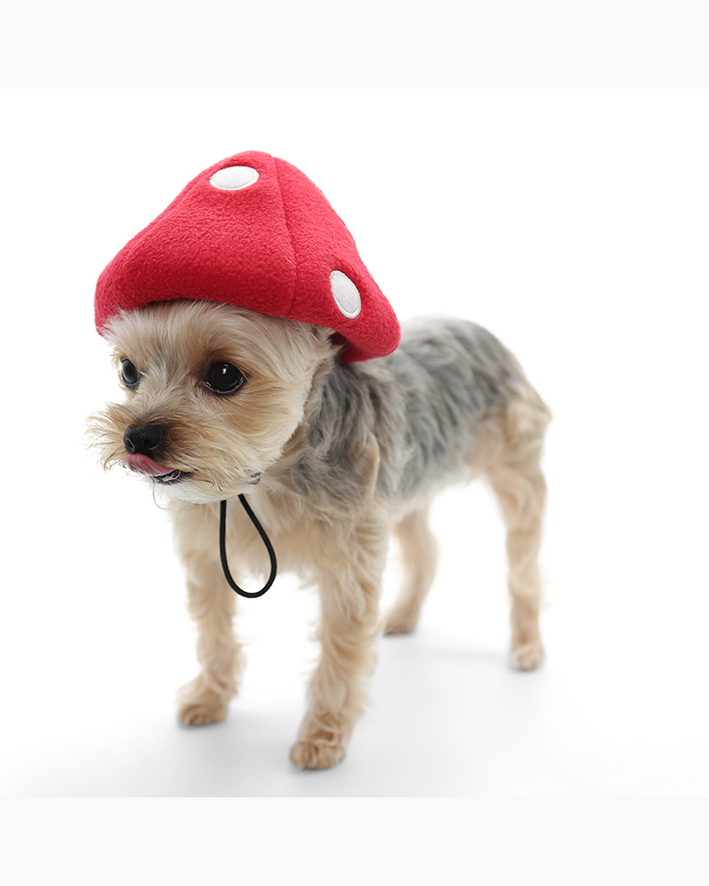 Howl-O-Ween Mushroom Cap Wear DOGO   